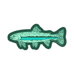 River Trout Sticker
